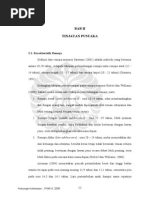 Download Status Gizi Remaja by Muhammad Zumrodin SN263852315 doc pdf