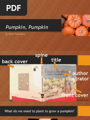 pumpkin, pumpkin