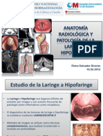 Anatomia Radiologica y Patologia de La Laringe e Hipofaringe