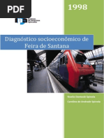 Feira de Santana - Diagnóstico Socioeconômico 1998