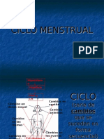 Ciclo Menstrual (2)