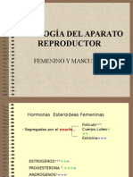 Fisiología de Aparato Reproductor Masculino y Femenino