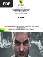 Emoções - Raiva