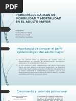 Principales Causas de Morbilidad y Mortalidad Nuevo