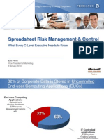 Spreadsheet Risk Management
