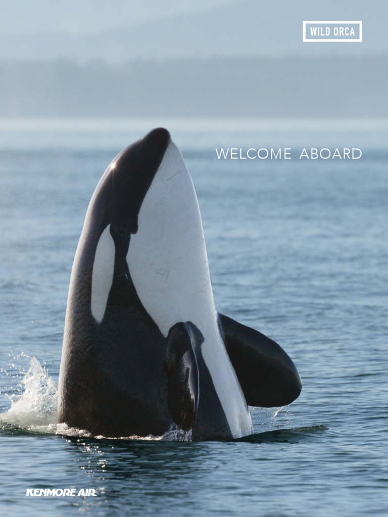 Southern Resident Orcas: Facts & Conservation | PDF | Killer Whale ...