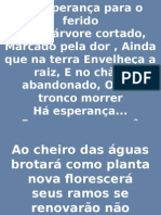 A Esperança