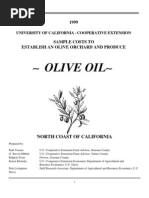 Download Olive Oil by hassan_maatouk SN26390344 doc pdf