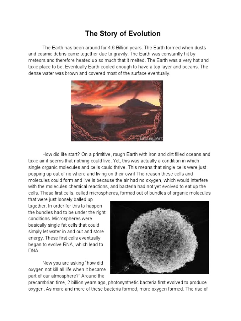 Evolution of Life on Earth Explained | PDF | Cell (Biology) | Evolution