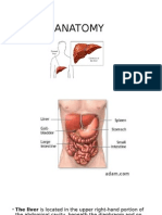 ANATOMY Kabugukan