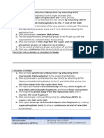 Leading and Lagging Strand Notes