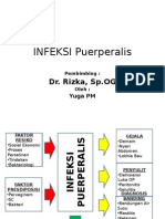 Referat Infeksi Puerperalis