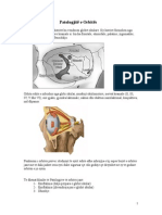 Patologjite e Orbites