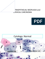 04 CIN and Cervical Cancer UNEDITED