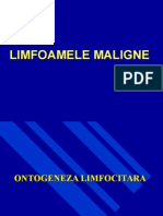 Limfoamele-Maligne