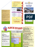 Triptico Primaria