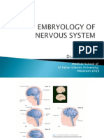 Embryology of Nervous System New13