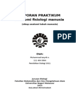 Praktikum Anfisman UNM Makassar