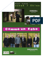 Groupe Dremmwel, spectacle vasco-breton "Dirdira" "Comme Un Echo" (dossier Complet)