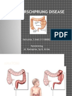 Hirschprung Disease