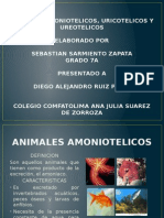 Animales Amoniotelicos, Uricotelicos y Urotelicos