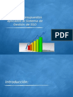 Costos - Presupuesto Aplicados Al SIG SSO