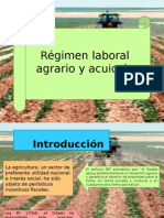 Regimen Especial Agrario y Acuicola