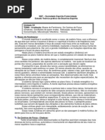 Irradiação - Bases, Centros e Condições (SEF)