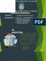 Auditor 1