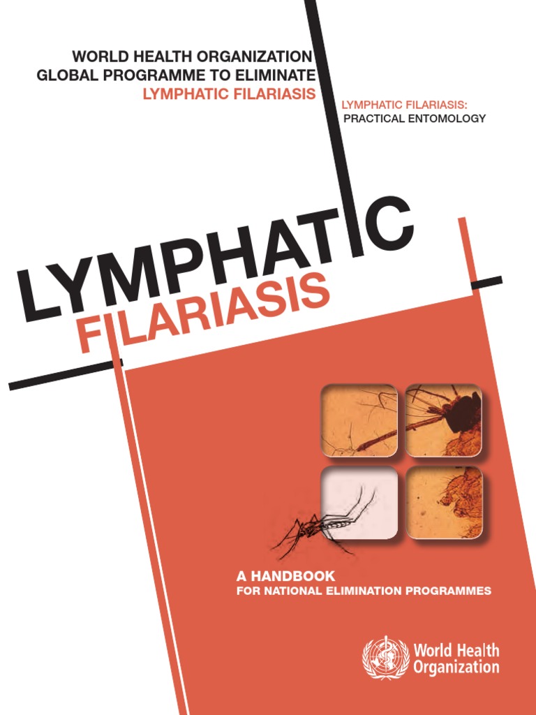 WHO Global Programme To Eliminate Lymphatic Filariasis PDF Malaria