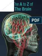 The A to Z of the Brain