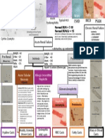 Renal Casts