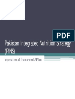 Pakistan's PINS Strategy Operational Framework