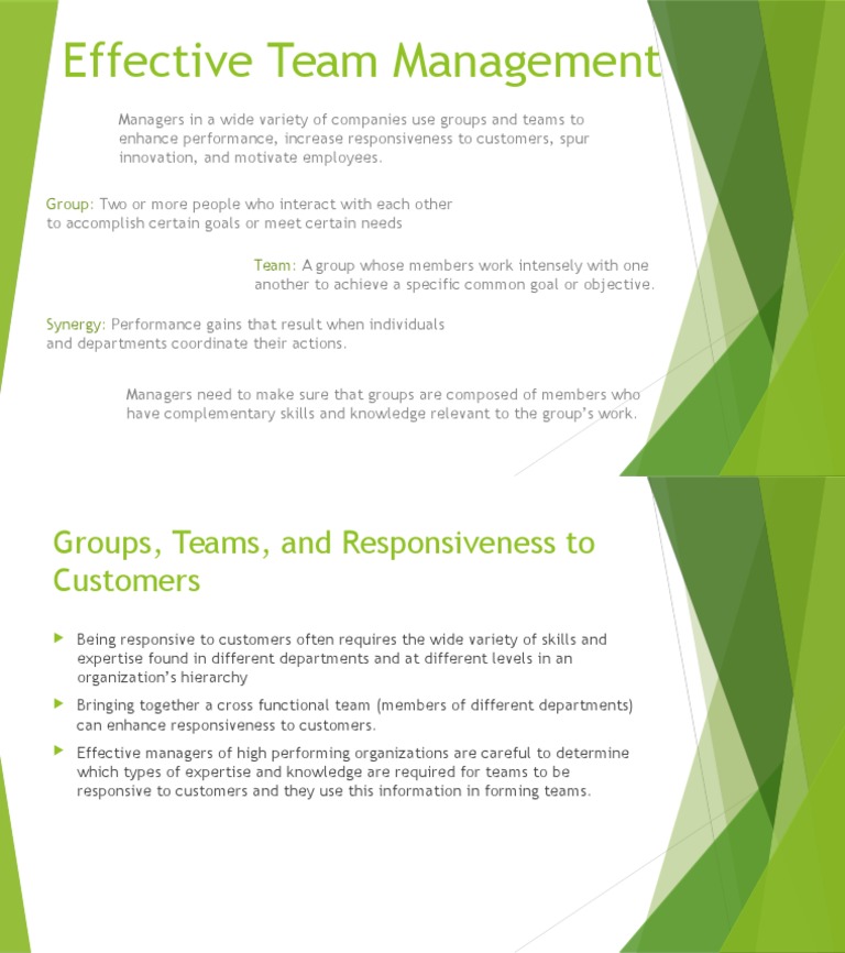 Effective Team Management Strategies | PDF