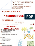 Ac.nucleicos 14 i Chi