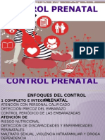 Control Prenatal Dos