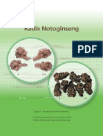 Radix Notoginseng