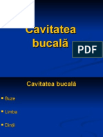 200694174 LP 04 Cavitatea Bucala