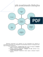 Transportul Membranar