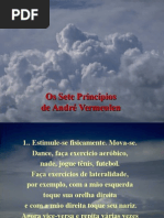 Principios Do Cérebro