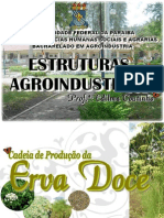 Cadeia Produtiva Da Erva Doce (Est. Agroindustriais