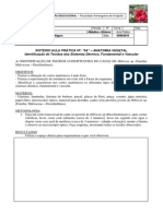 5 - IdentificaÃ§Ã£o de Tecidos