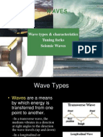 5 2 waves web