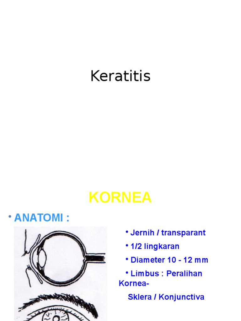 Contoh Laporan Pendahuluan Hematuria