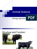 Animal Structure and Function