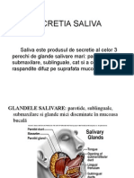 Secretia Saliva