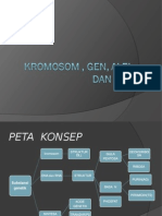 Gen - Dna Dan Kromosom