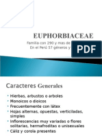 Euphorbiaceae (