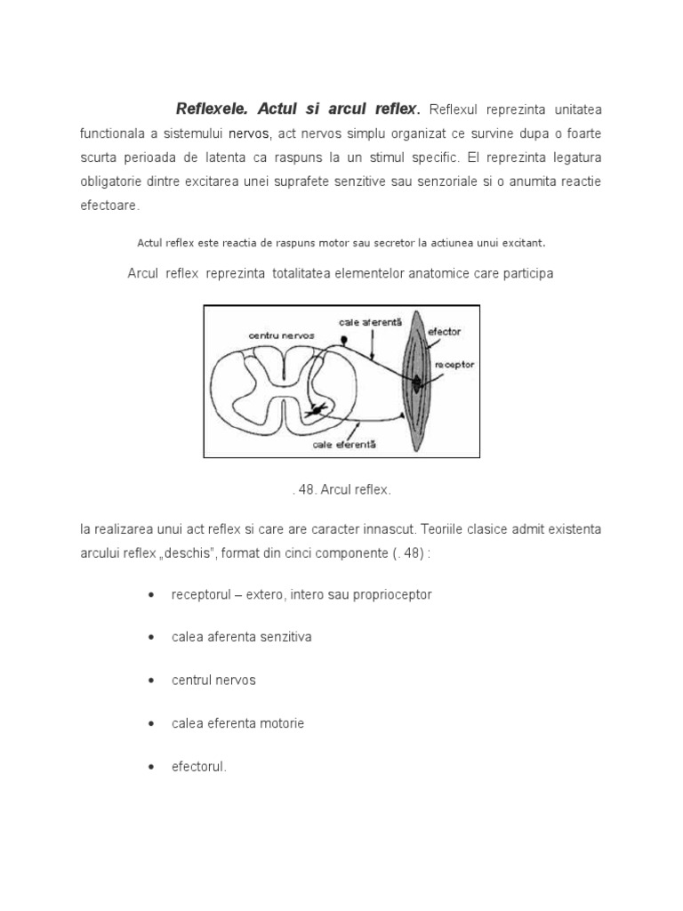 Reflex Ele | PDF