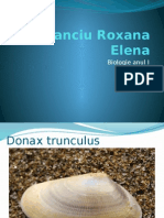 Stanciu Roxana Elena: Biologie Anul I